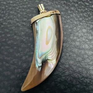 Iridescent Abalone Horn Pendant - Beige & Multi-Color